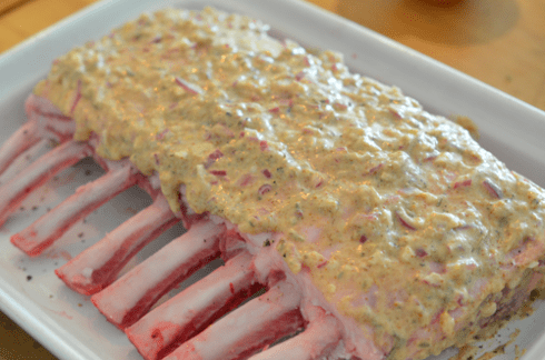 mustard lamb - coat lamb