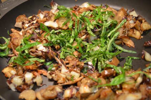 Radicchio+eggplant - add basil